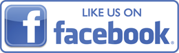 facebgook-like-us-logo